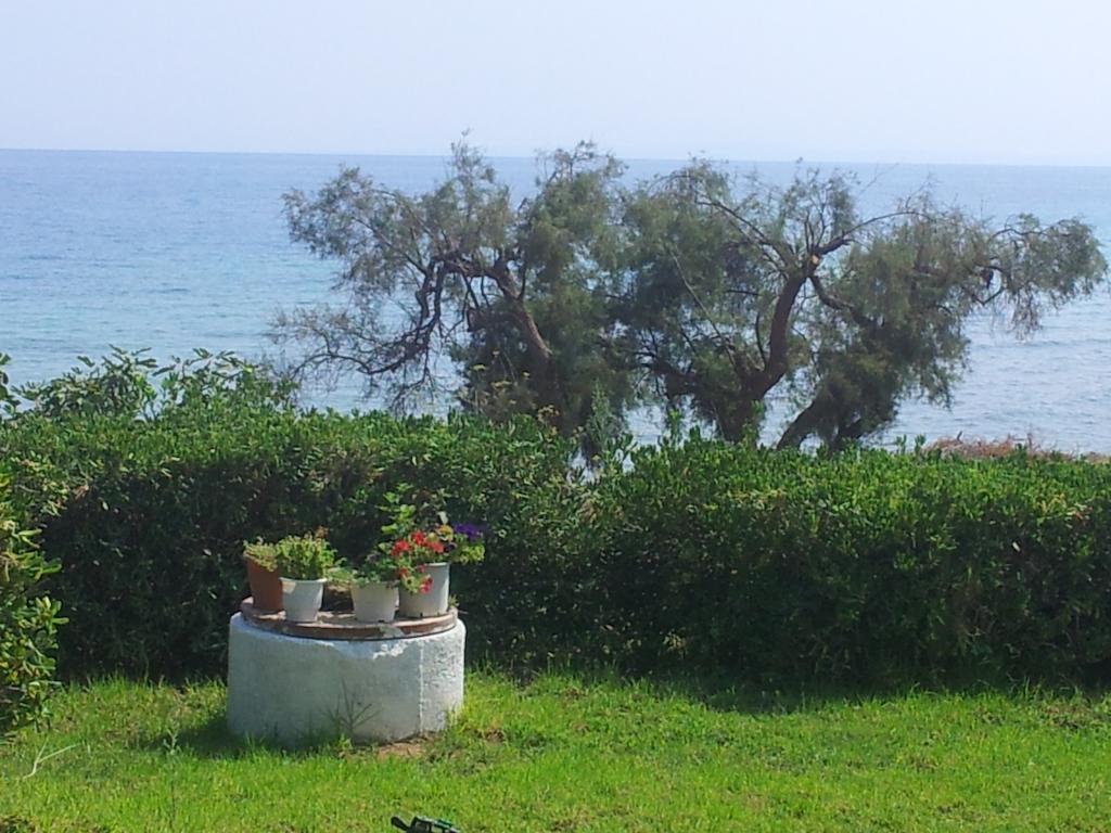 Beach Bungalows Kypseli 部屋 写真